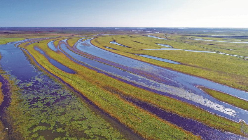 在嫩江鎮賚段的111.5公里中，眾多支流疏導江水，滋養生靈，形成了一道道美麗的風景。潘晟昱攝