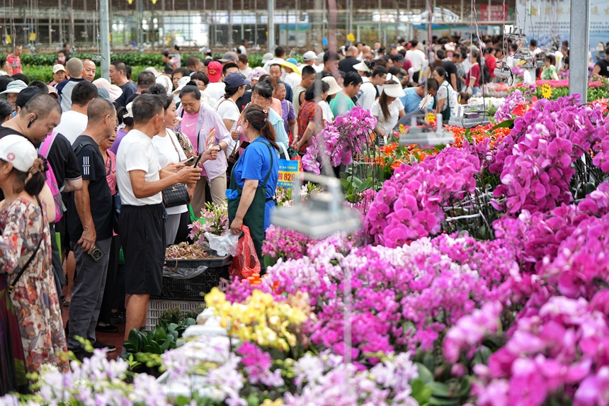 游客在長春農博會鮮切花展示區購物。人民網記者 李洋攝