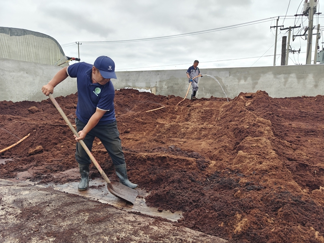 椰糠泡發生產流程。