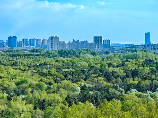 長春市景觀。人民網記者哥李洋攝