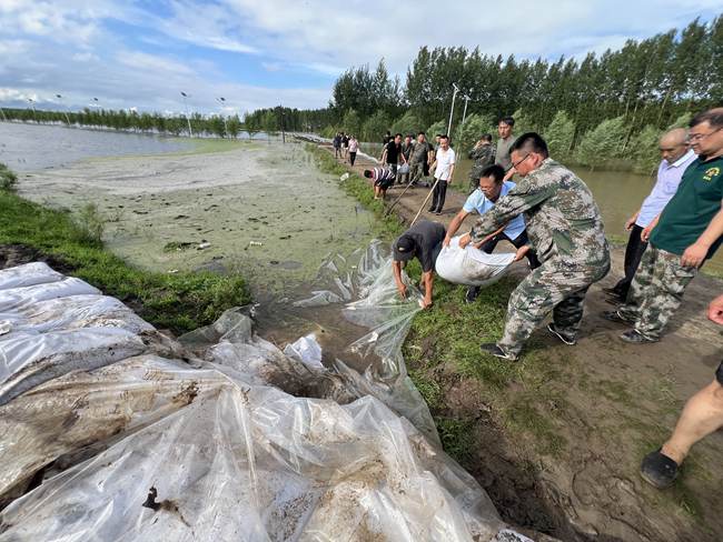 德惠市退役軍人奮戰在抗洪搶險一線。