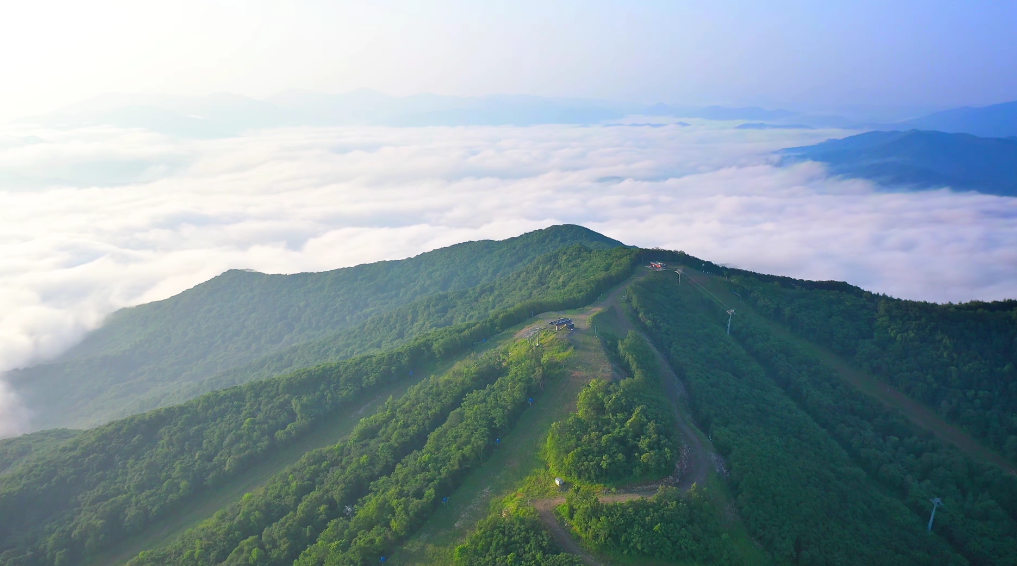 清爽通化，與你相約