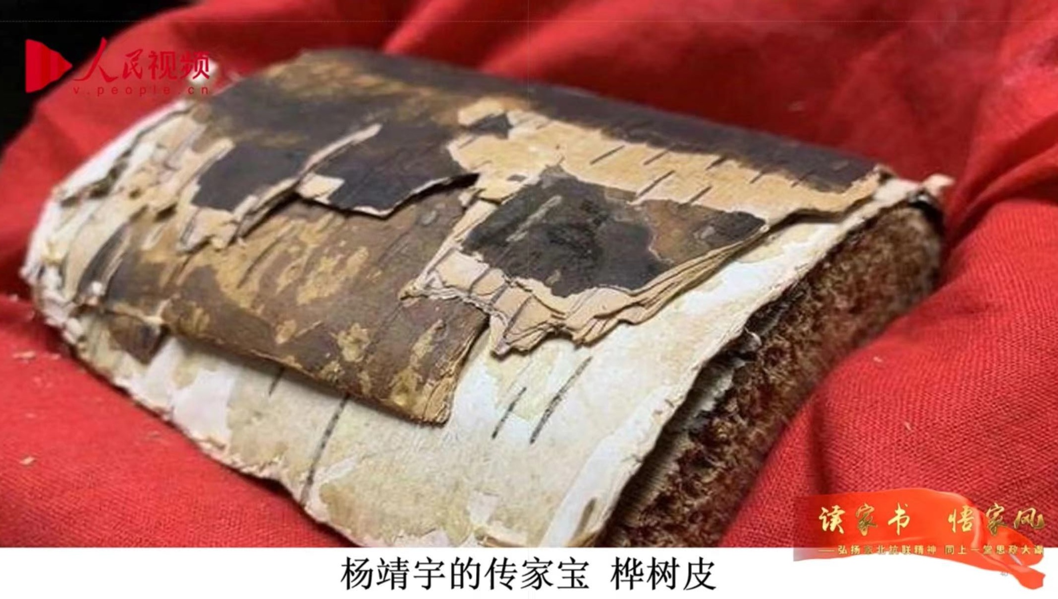 直播課程截圖。