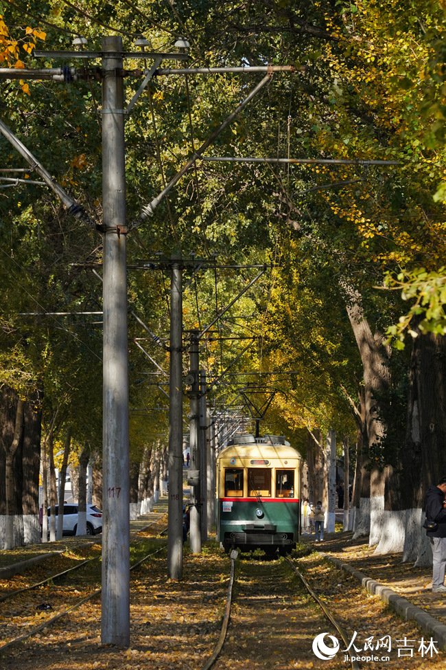 54路文旅專列駛入秋日的“油畫”中。人民網記者 李洋攝