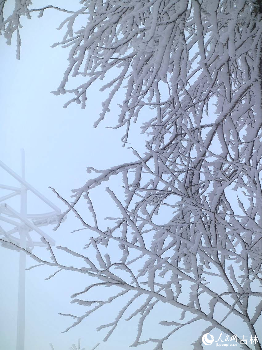 吉林市初雪玉樹銀花，分外妖嬈。人民網記者 王海躍攝