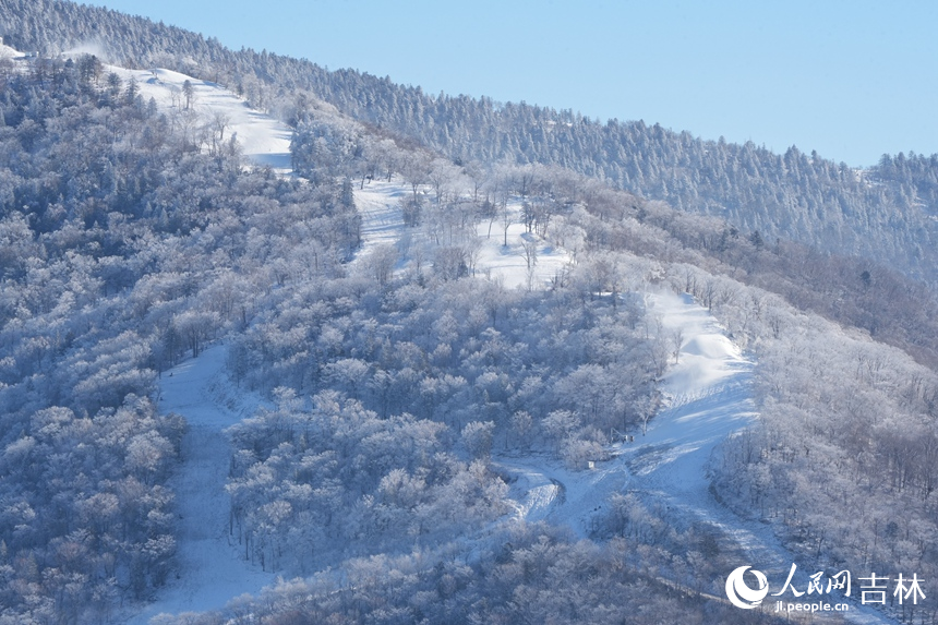 吉林北大湖高山霧凇景觀。人民網記者 李洋攝