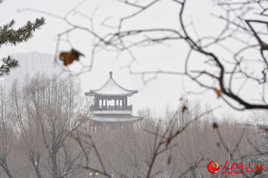 雪中長春德苑美景。人民網記者 李洋攝