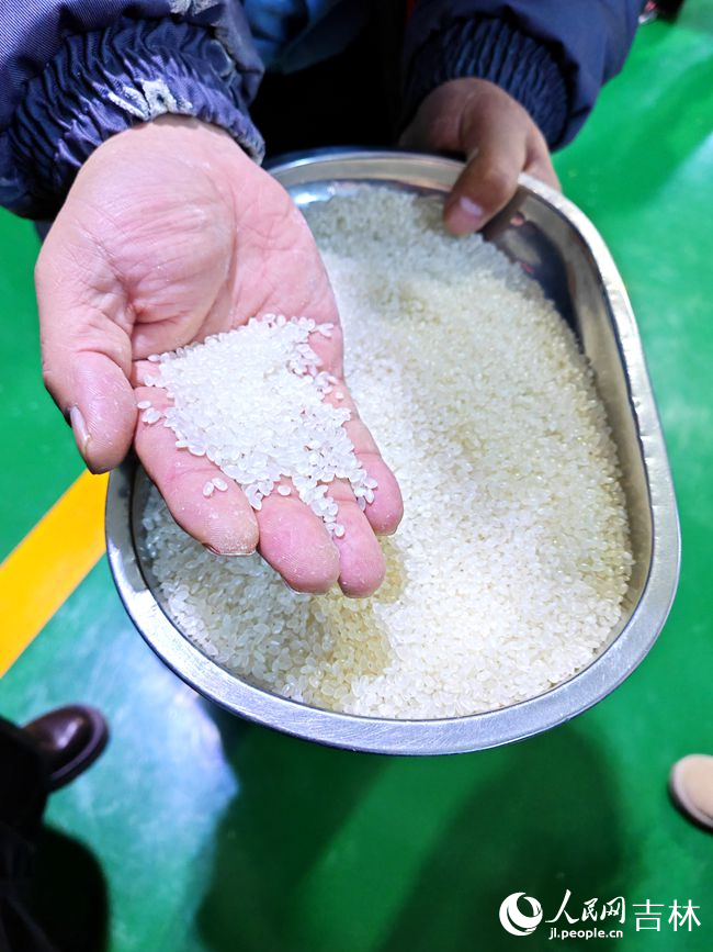 加工好的大米。人民網記者 關思聰攝