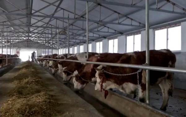 通化市抓實農特產業集群發展