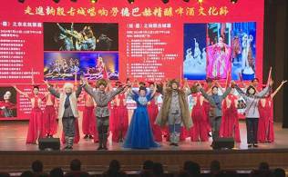 池南區：堅持黨建引領 繪就新時代畫卷