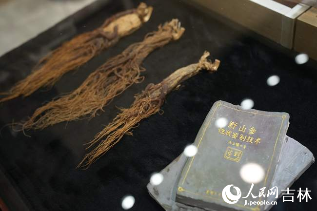 長白山雪街展示的人參產品。人民網記者 李洋攝