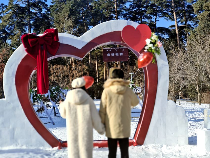 戀人們紛紛走進1314米長的松針小徑。人民網記者 關思聰攝