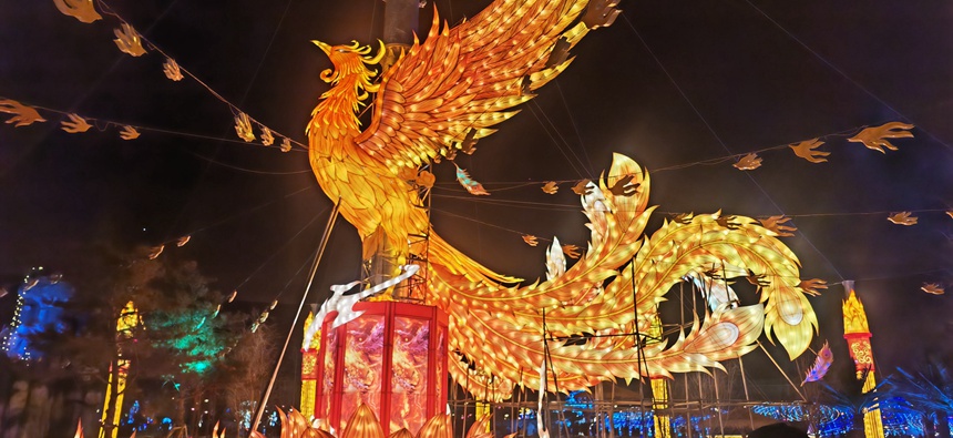 【組圖】2025遼源動植物園迎春燈會光彩開幕！【2】