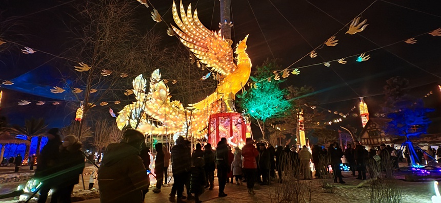 【組圖】2025遼源動植物園迎春燈會光彩開幕！【8】