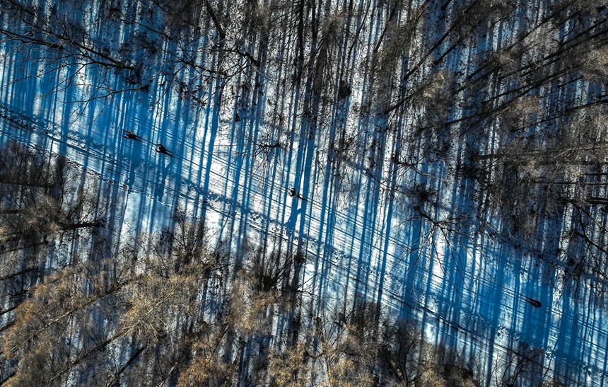 選手們馳騁在森林賽道中。長春凈月高新區供圖