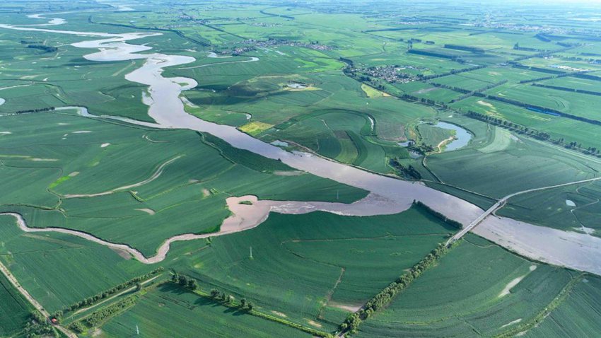地處世界著名的黃金玉米帶、黃金水稻帶，奠定了德惠深厚的農業基因。(德惠市委宣傳部供圖）