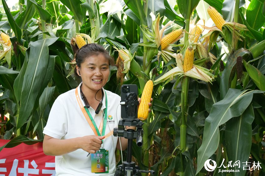 在長春農業博覽會上，主播介紹玉米品種。人民網記者 李洋
