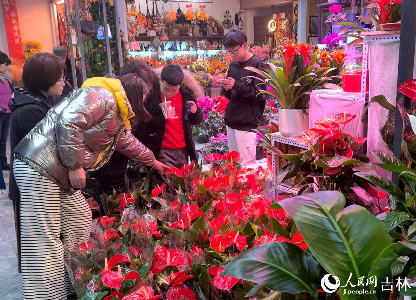 市民駐足在花卉前進行選購。人民網記者 馬俊華攝