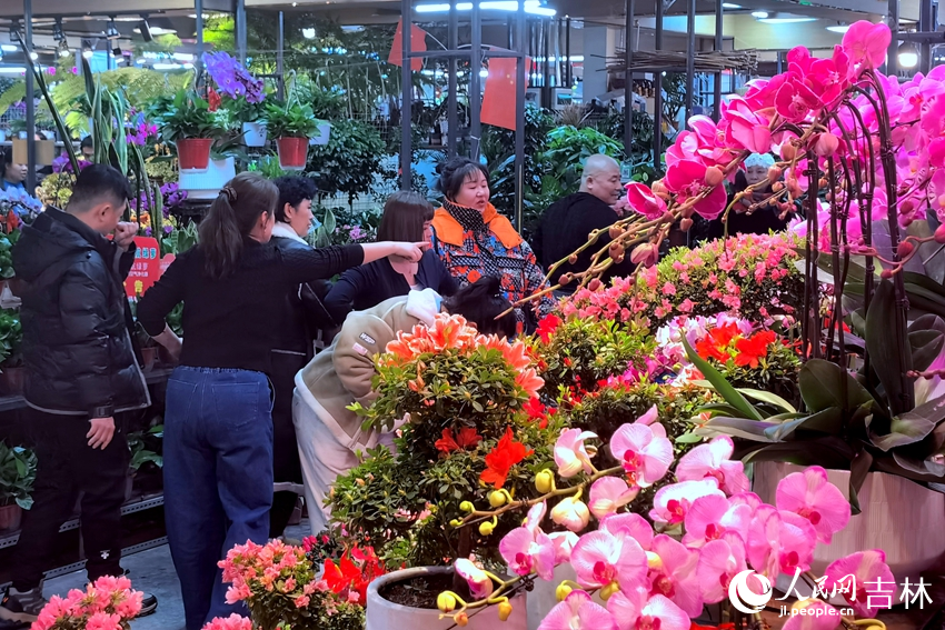 市民駐足在花卉前進行選購。人民網記者 馬俊華攝