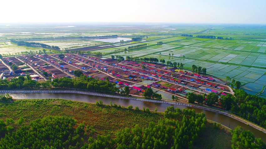 嫩江畔的嘎什根鄉十家子村綠意盎然，儼然一幅水鄉景色。