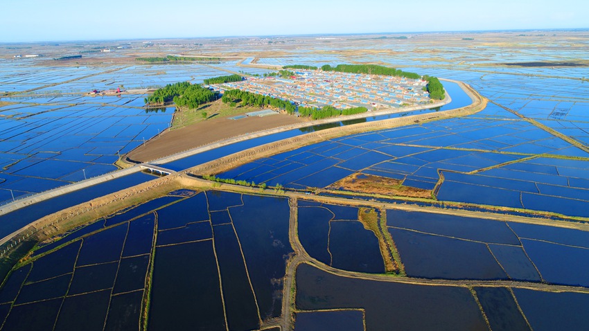 鎮賚縣水田改造惠民工程讓農業增收、農民致富。