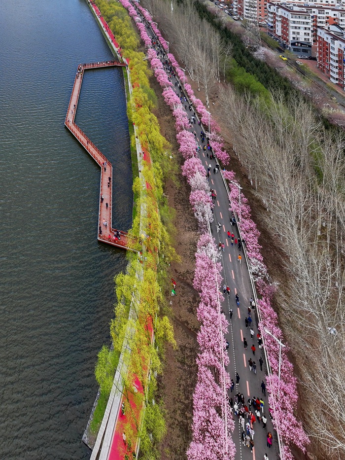 長春伊通河畔的花海長廊。李向東 攝