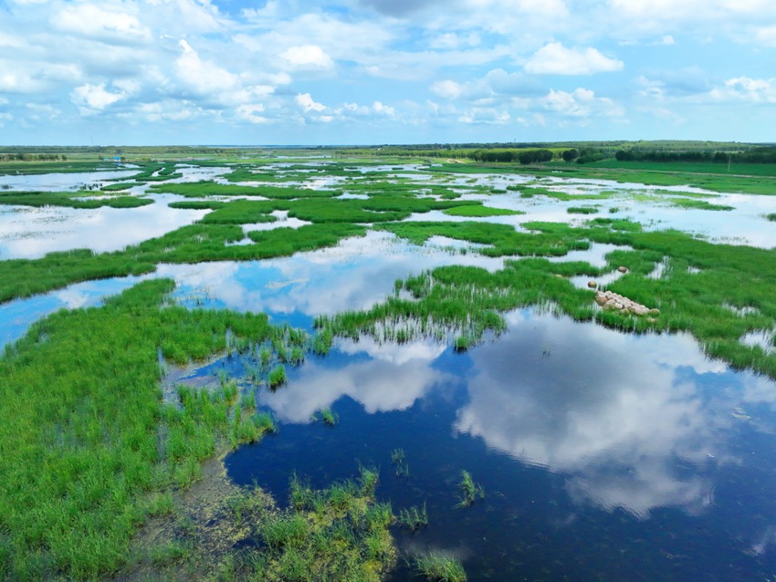 鎮賚莫莫格濕地宛如“天空之境”。鎮賚縣委宣傳部供圖（資料圖片）