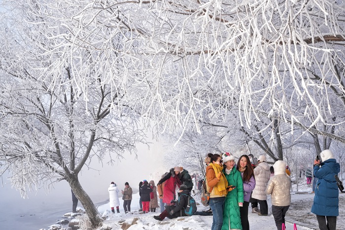 吉林市松花江冬日霧凇景觀。人民網記者 李洋攝