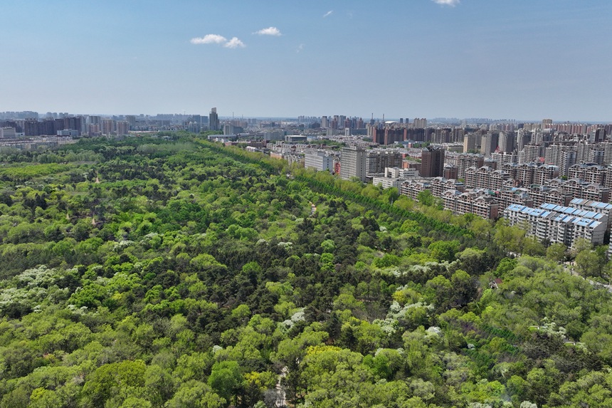 “拆圍透綠”讓綠色景觀擁抱城區。人民網記者 李洋攝