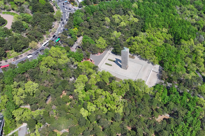 公園與城市環島街路同框。人民網記者 李洋攝