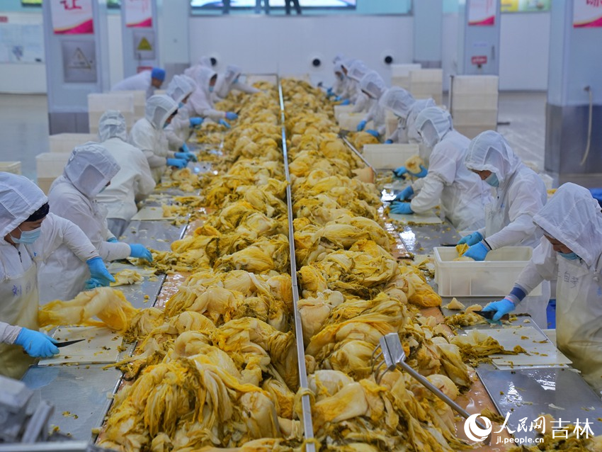 長春九臺經濟開發區朱老六食品股份有限公司酸菜生產車間。人民網記者 李洋攝