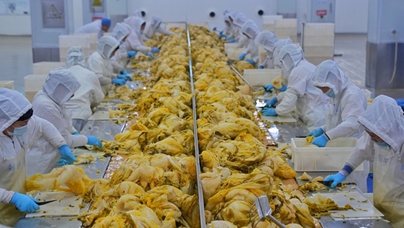 行進中國｜東北酸菜里的幸福味道在長春九臺經濟開發區朱老六食品股份有限公司酸菜生產車間，一缸缸酸菜散發出濃郁的香味，清冽的漿水透亮醇厚。