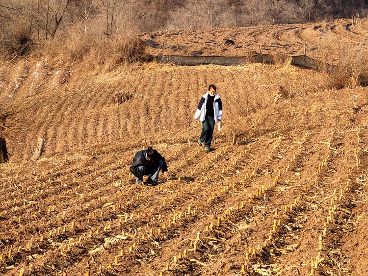 普查隊員采集文物標本。