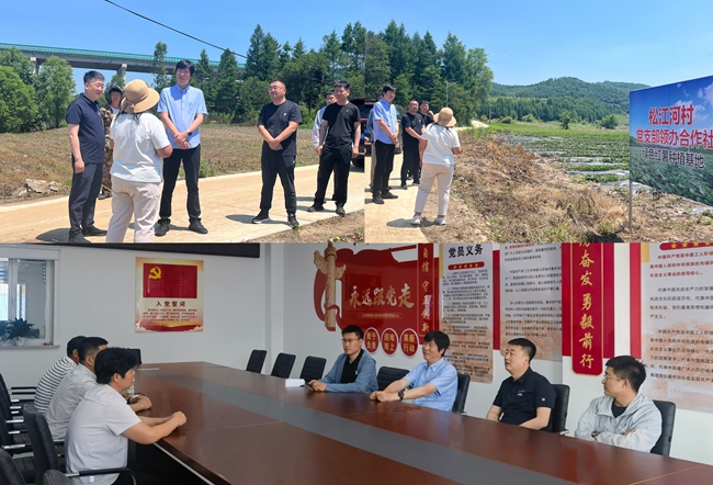 張弘一行在鄉鎮實地調研。
