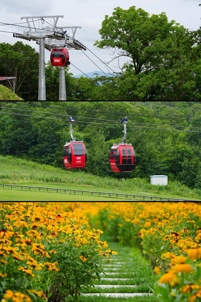 吉林北大湖滑雪度假區。人民網記者 李洋攝