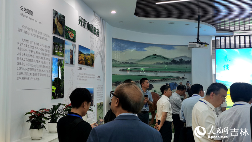 光東村稻米展覽館。人民網記者 王帝元攝