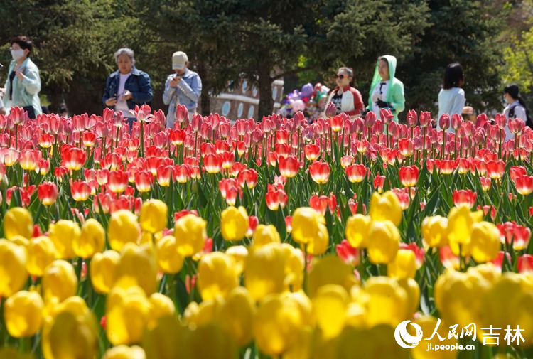 市民在長春公園暢享美好生活。人民網記者 李洋攝