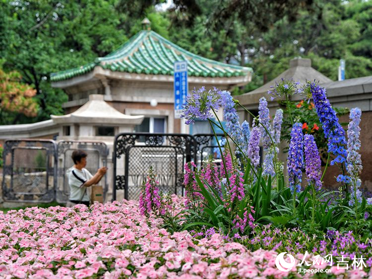 市民在新民大街旁的口袋公園旁拍照留念。人民網記者 李洋攝