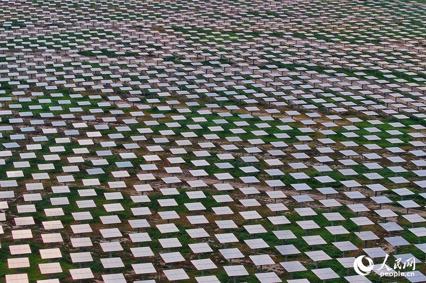 7月26日，吉西基地魯固直流140萬千瓦外送項目定日鏡已全部安裝完成。人民網記者 李洋攝