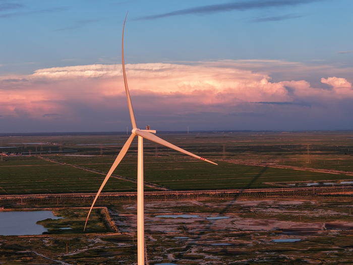 夕陽下，一臺臺風機在風中源源不斷地產生電能。吉電股份供圖