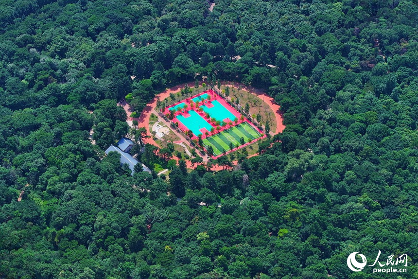 長春南湖公園內，被綠意環繞的運動場。人民網記者 李洋攝