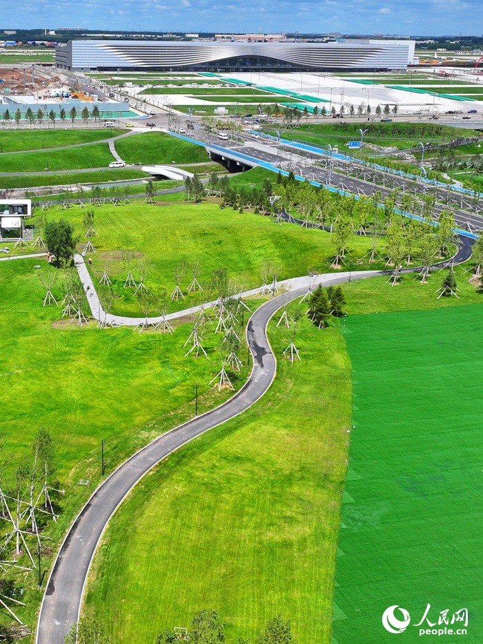 長春國際航空博覽城藍天公園內草坪已鋪設完成。人民網記者 李洋攝