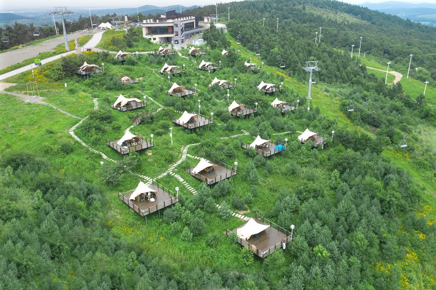 露營區滿眼綠意