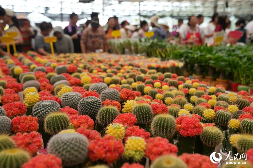 觀眾在長春農博會參觀。人民網記者 李洋攝