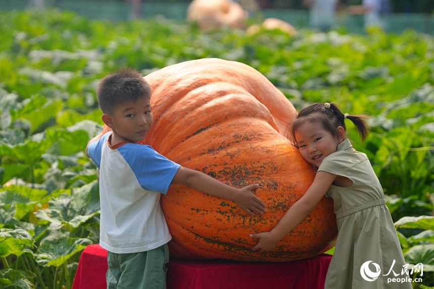 長春農博會上，兩位小朋友與巨型南瓜合影。人民網記者 李洋攝