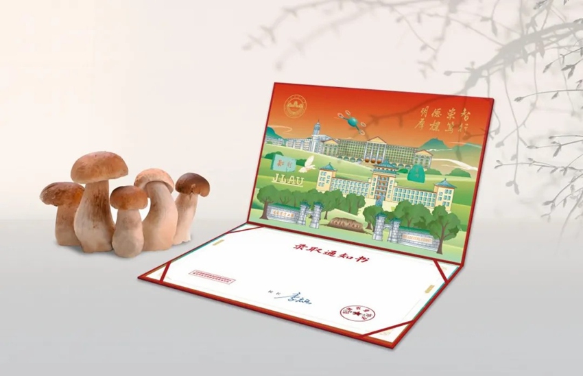 吉林農業大學可食用的“蘑菇錄取通知書”。吉林農業大學供圖