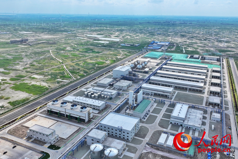 7月26日，吉林大安風光制綠氫合成氨一體化示范項目正式投產。人民網記者 李洋攝