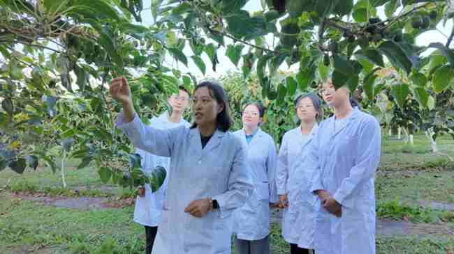 艾軍教授團隊師生