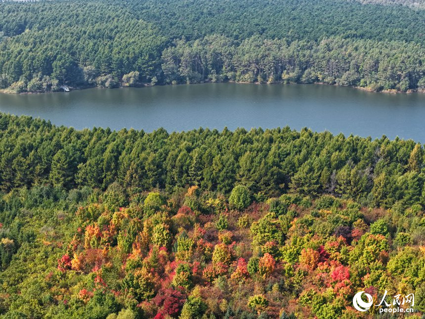 秋日里，凈月潭景區內層林盡染。人民網記者 李洋攝