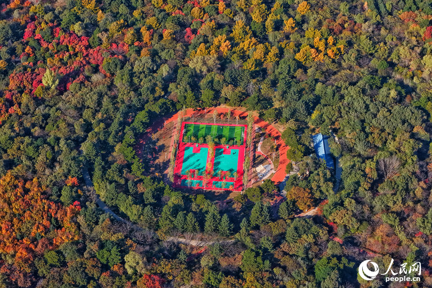 23日，長春南湖公園層林盡染、色彩斑斕。人民網記者 李洋攝